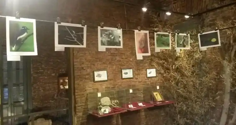 Exposición fotográfica de fauna argentina en el Paleontológico