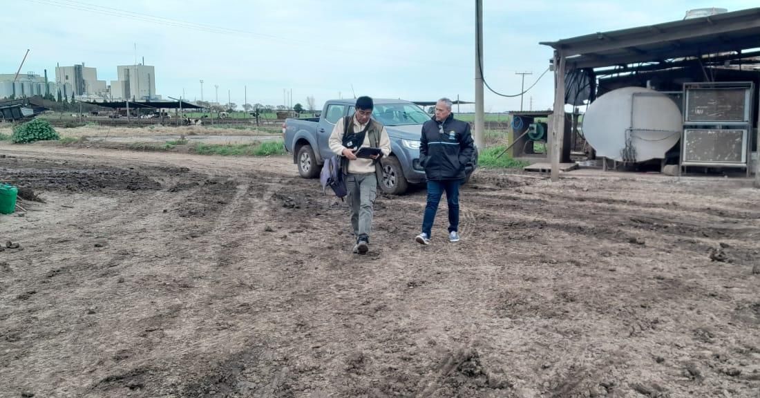 Detectaron graves irregularidades laborales en tres tambos con 16 trabajadores no registrados