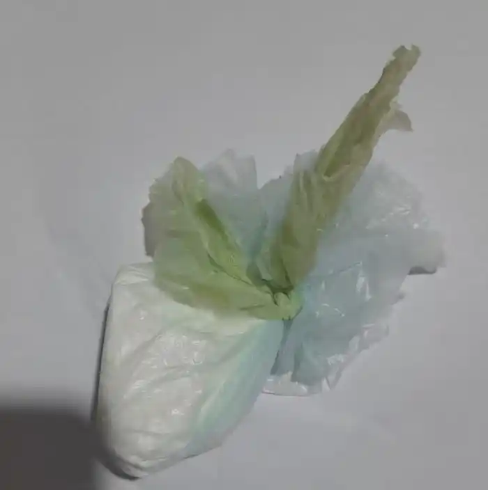 Quiso escapar de la policía: andaba en moto con un revólver calibre .32 y cocaína  carlos pellegrini - 3