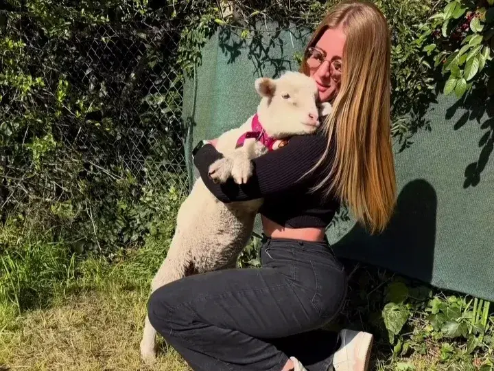 Buenas Nuevas - Memé, una ovejita que encontró una oportunidad gracias al amor