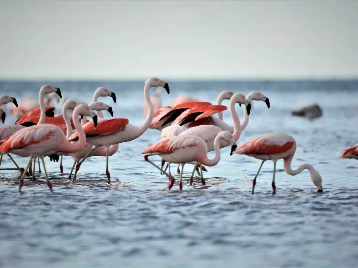 Más cerca del Parque Nacional 