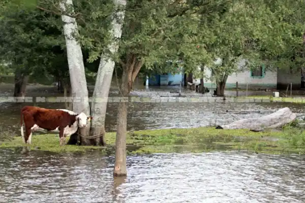 Se toman medidas preventivas para las zonas con riesgo de inundaciones 