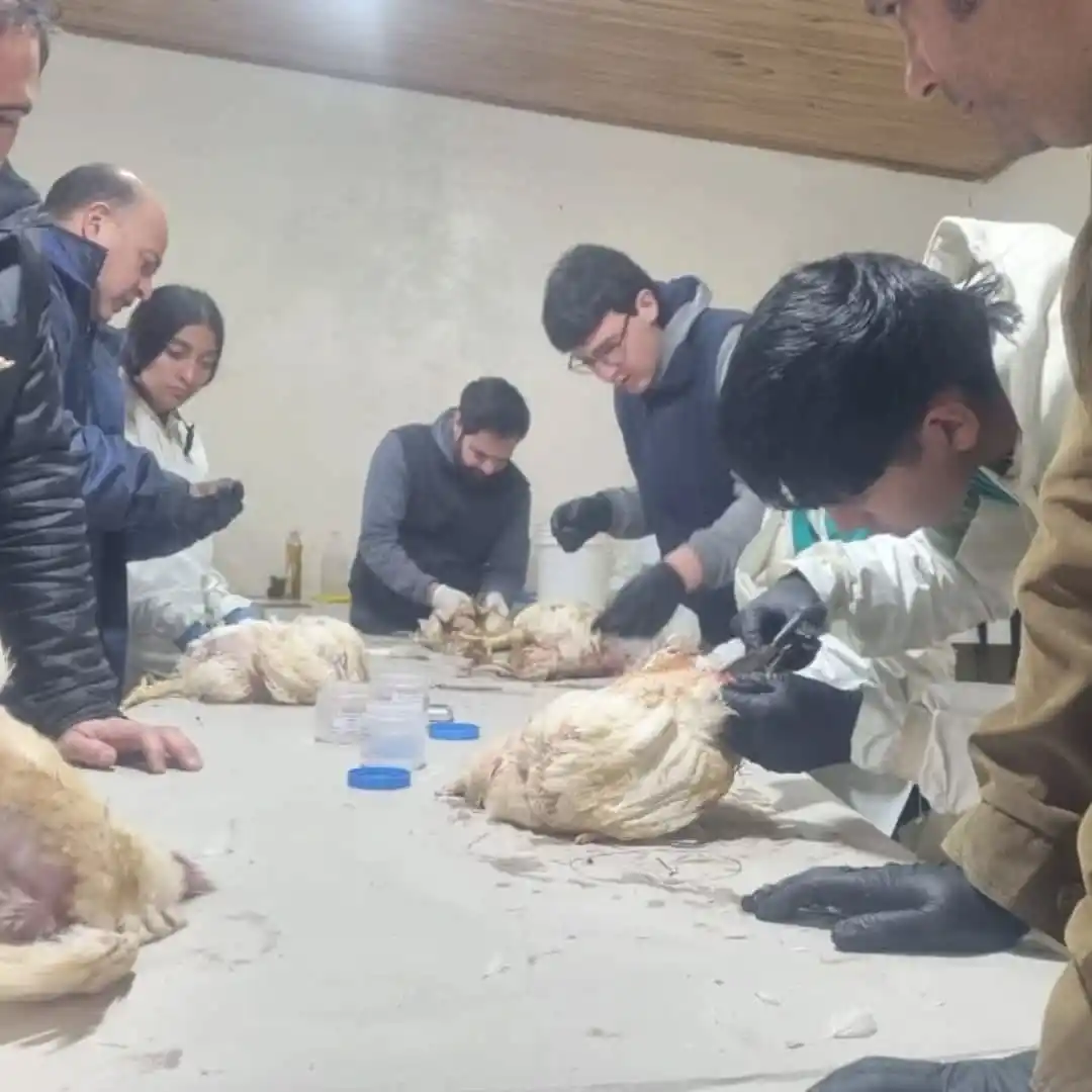 Escuela y comunidad: estudiantes inician prácticas que transforman la secundaria