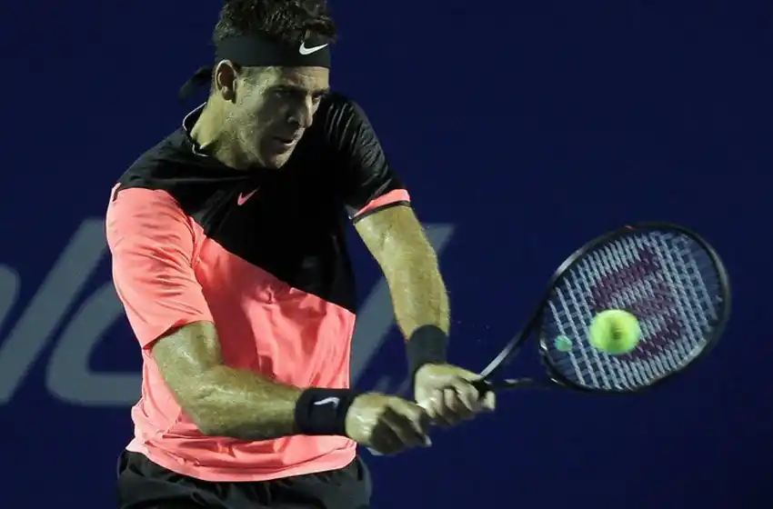 Del Potro sigue firme e irá por la final