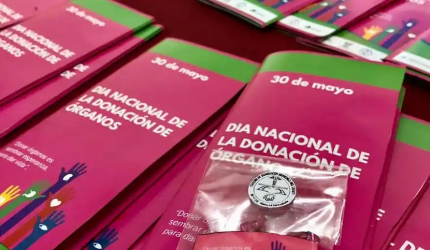En lo que va del año ya se realizaron 1.502 trasplantes de órganos