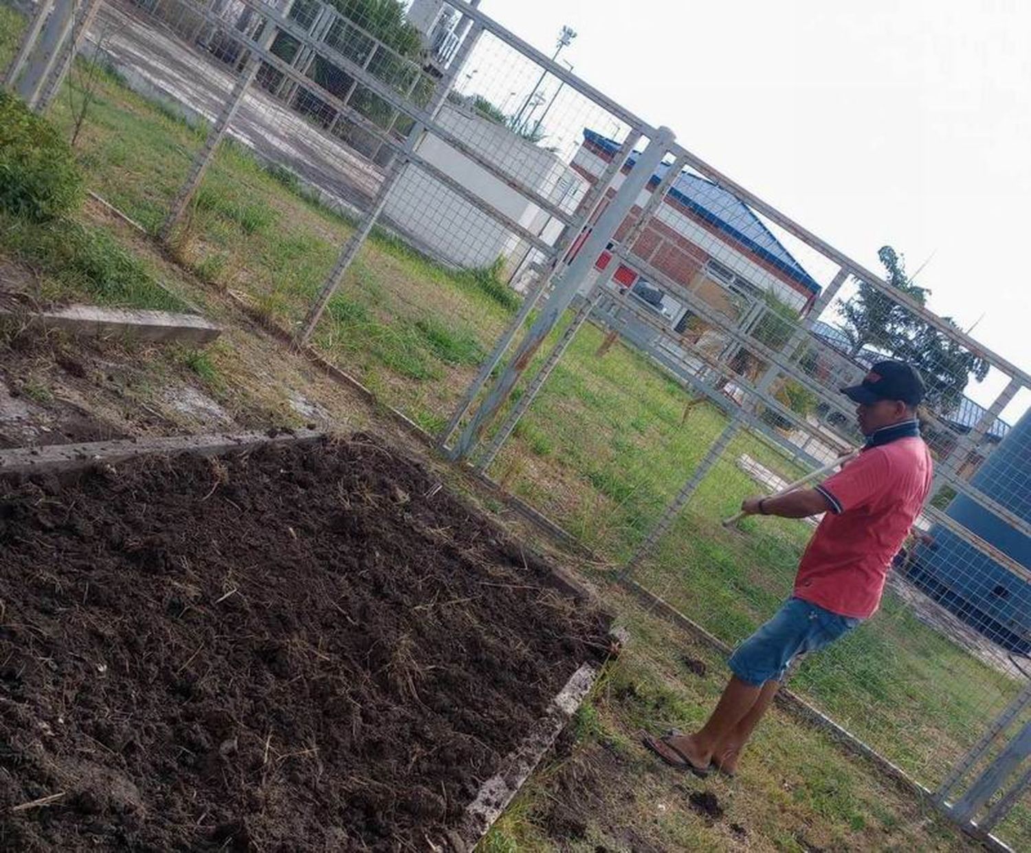 El taller de huerta continúa como espacio 
terapéutico de los pacientes de salud mental