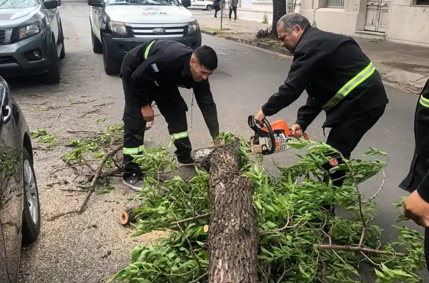Alerta en Rosario: las ráfagas de 90 km/h causaron 130 incidentes