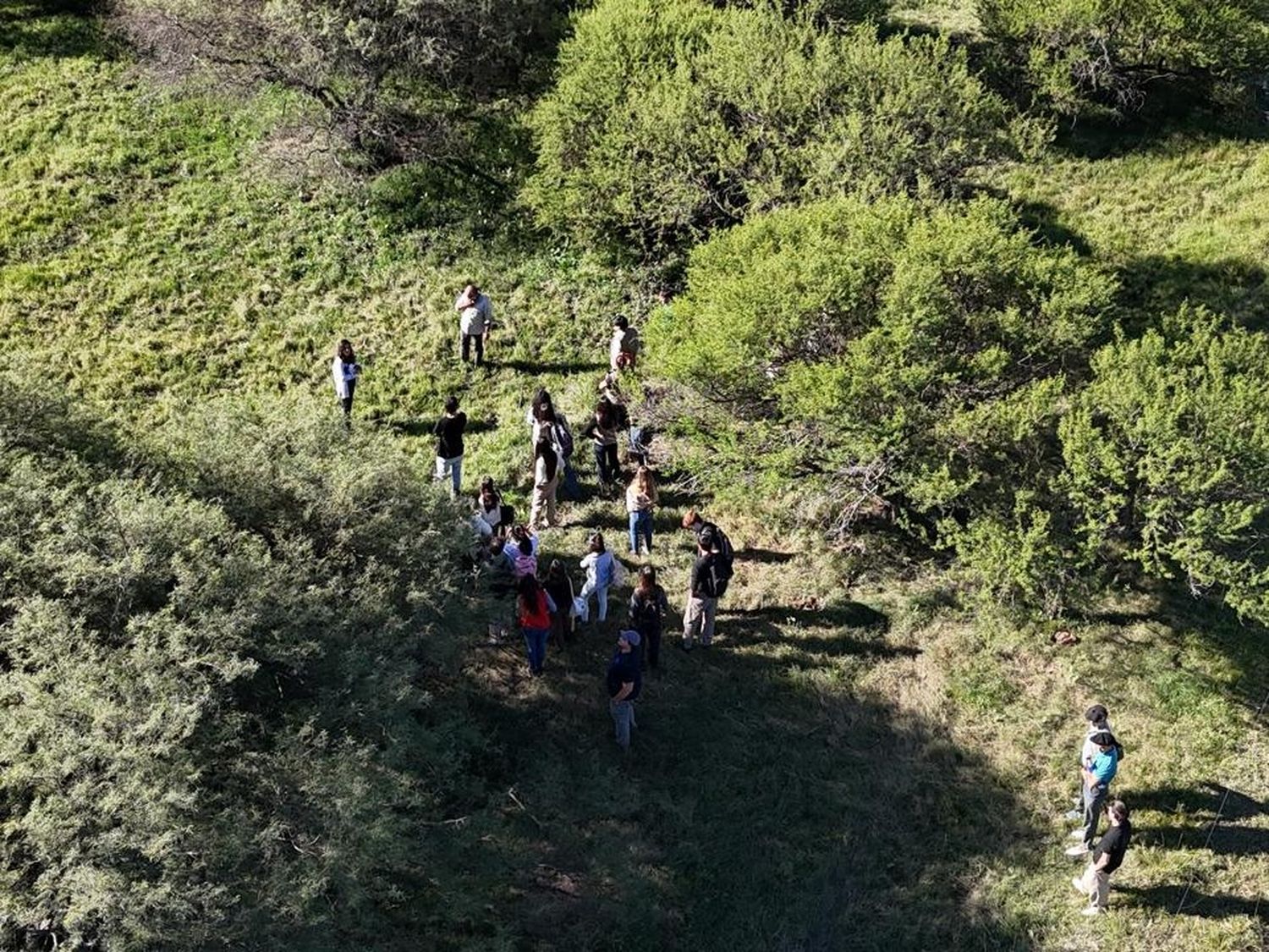 Jornada de capacitación en Santa Adelina: producción ganadera y conservación ambiental