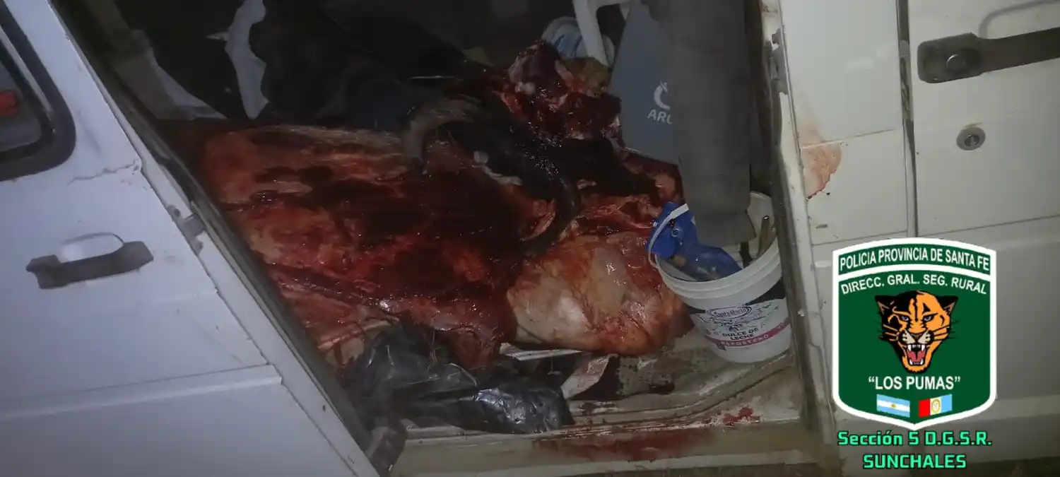 Los Pumas de Sunchales secuestraron carne por faena clandestina en zona rural de la región - 2