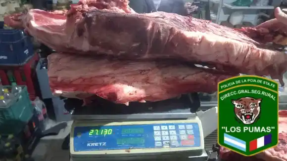 Decomisaron 44 kg de carne de cerdo y más de 90 pollos sin documentación en operativos