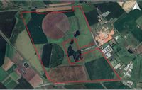 Milei planea realizar una subasta pública del campo donde Lunghi quiere realizar el Polo Logístico
