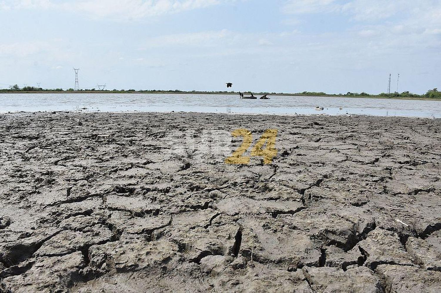 Elecciones 2021: 500 personalidades argentinas piden que los candidatos debatan el cambio climático