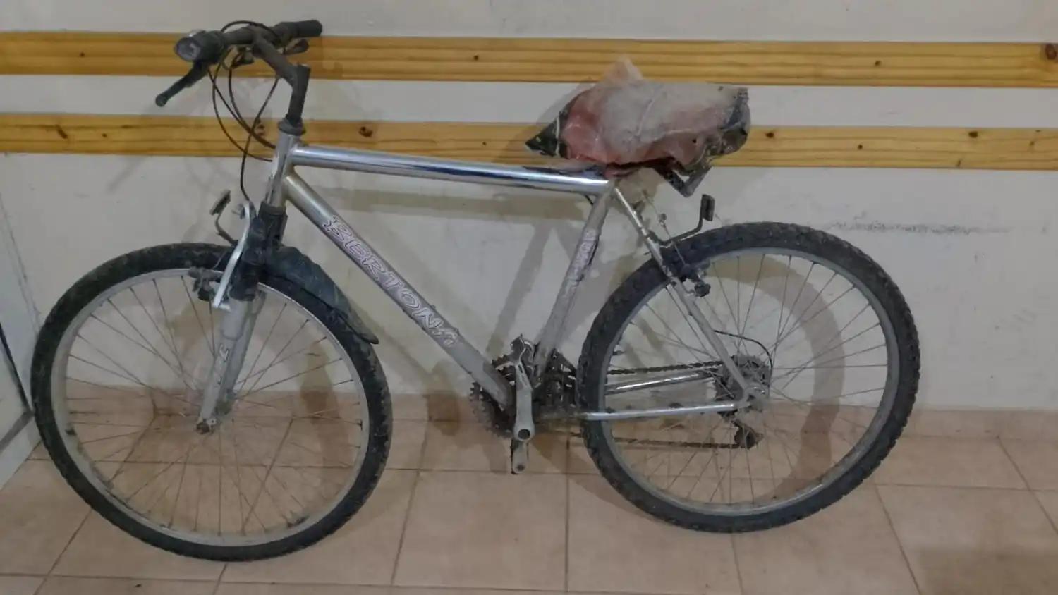 Detuvieron en plena vía pública a un joven y recuperaron dos bicicletas tras un robo - 1