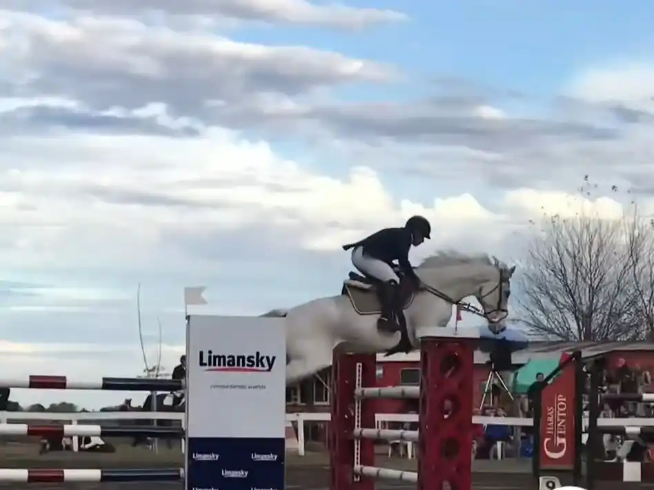 saltos hipicos regional  jockey club