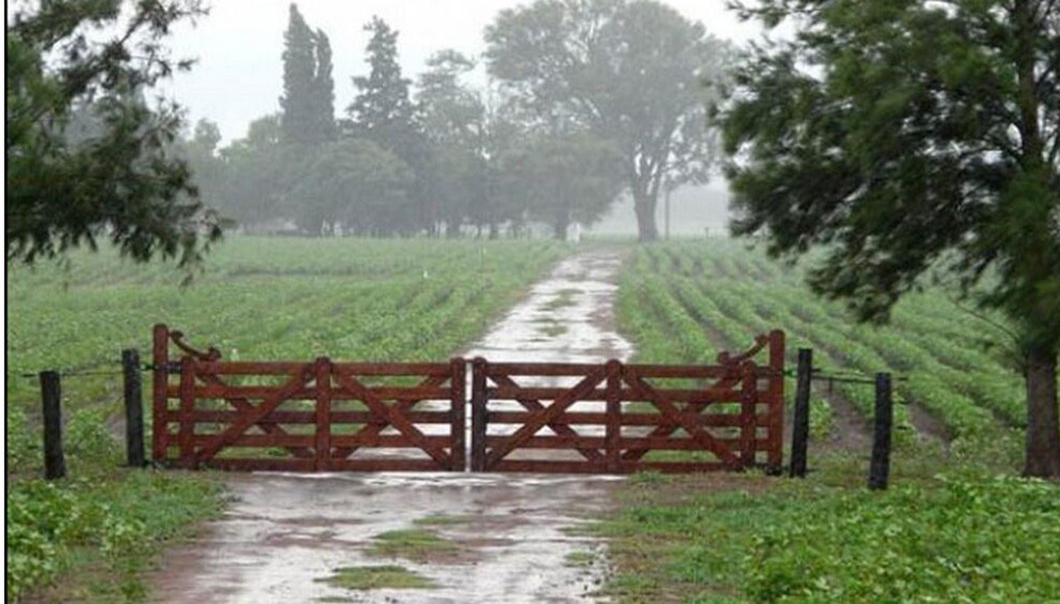 Presentan mañana la nueva etapa de Visión Rural