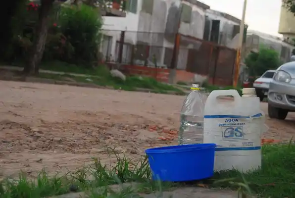 Todas las áreas municipales trabajan en la prevención del dengue 