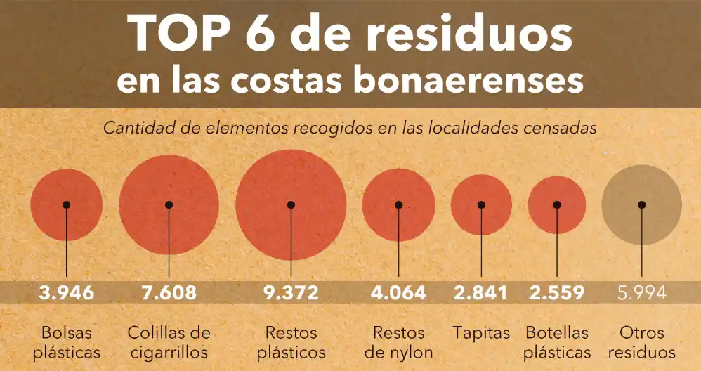 Más del 80% de los residuos en las playas bonaerenses son plásticos, según Censo de basura
