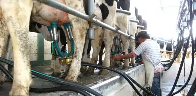 El agro demanda mano de obra, pero más calificada
