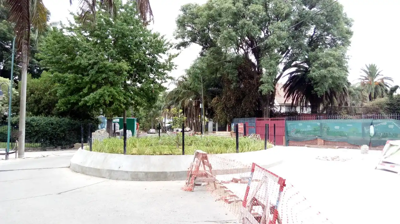 Retiraron histórico ombú de 500 años en Vicente López