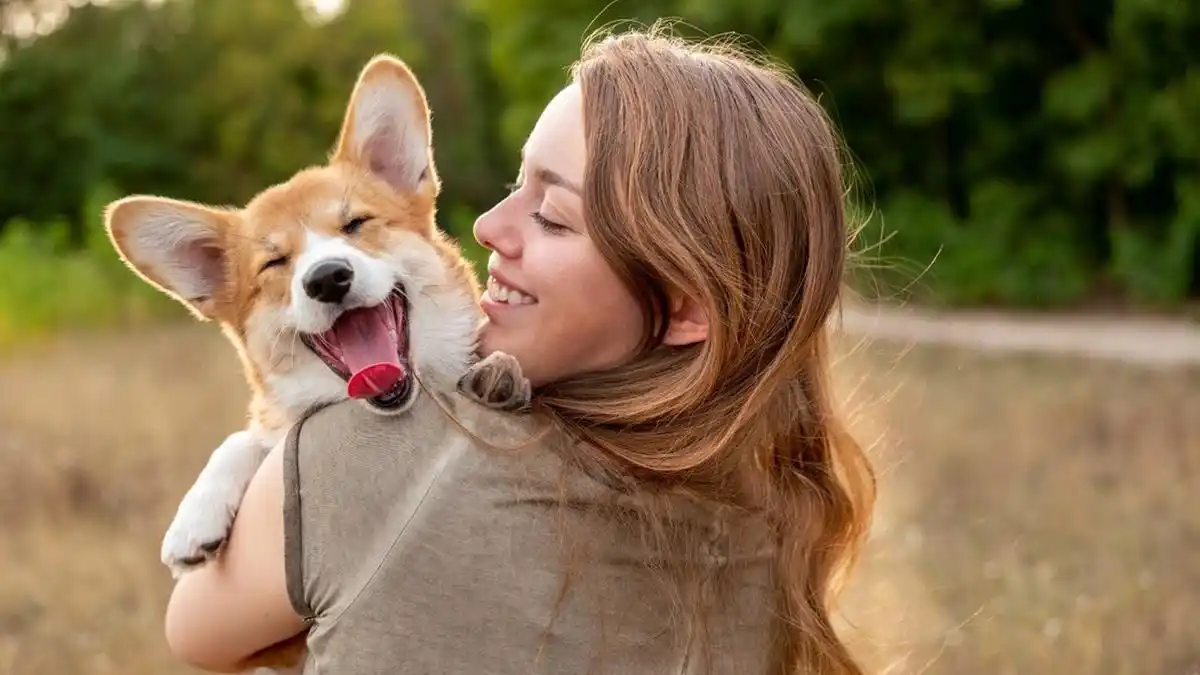 La influencia genética en nuestro deseo de tener perro.