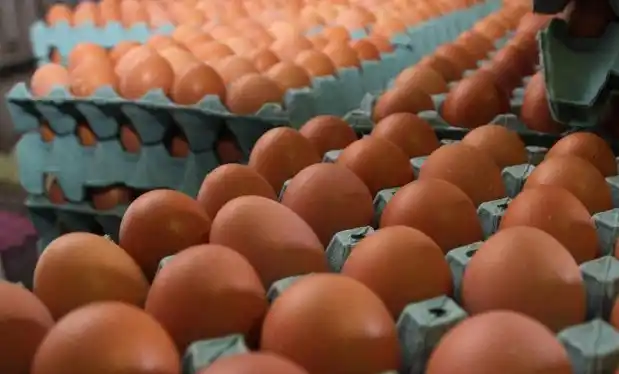 Huevos, pocos y caros en las góndolas: ¿Cuáles son las razones?