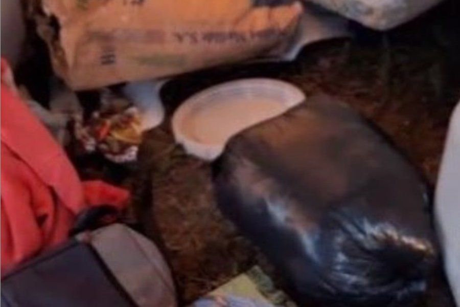 No se salva nadie: estaban de campamento, fueron a pescar y les robaron casi todo