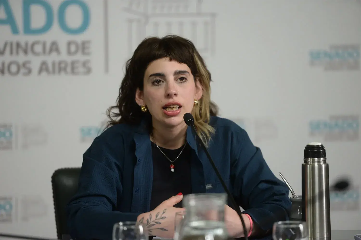 El Senado bonaerense busca poner límites a las cámaras de vigilancia en los lugares de trabajo