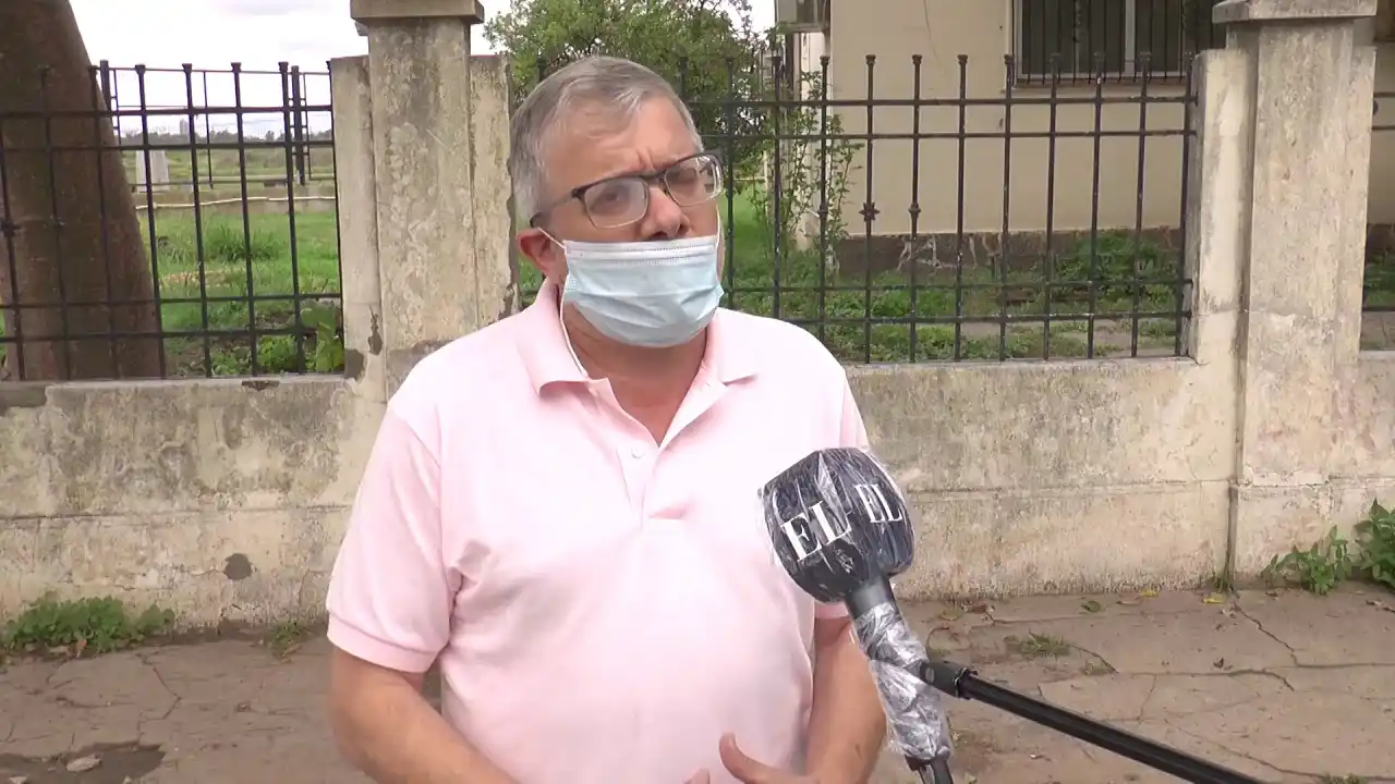 Piden que se investiguen a fondo las causas de la mortandad de peces en el Salado