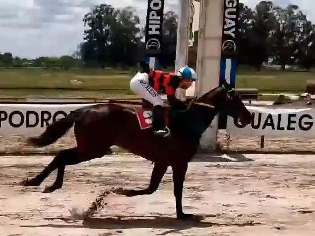 Turf: Mantecosa se impuso en el Gran Premio “Gury” Cáceres