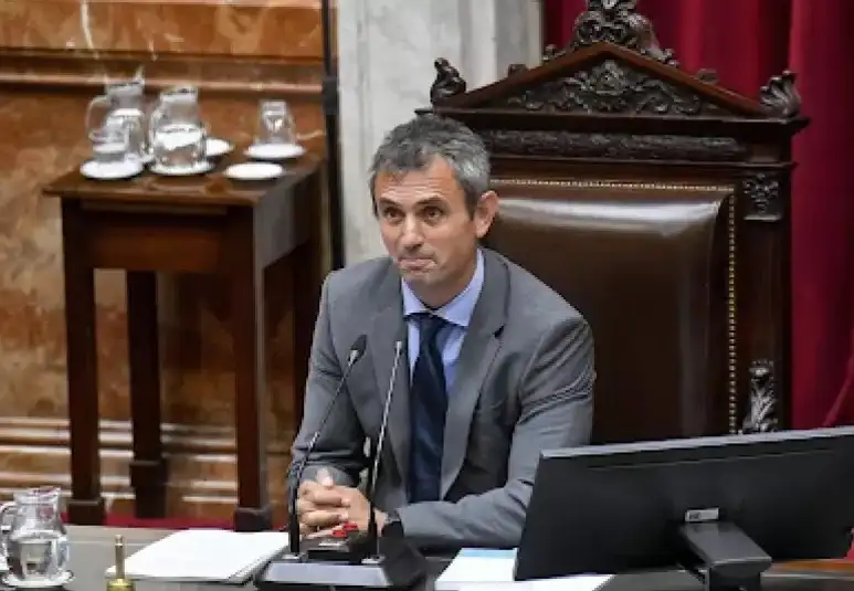 El presidente de la Cámara de Diputados, Martín Menem.