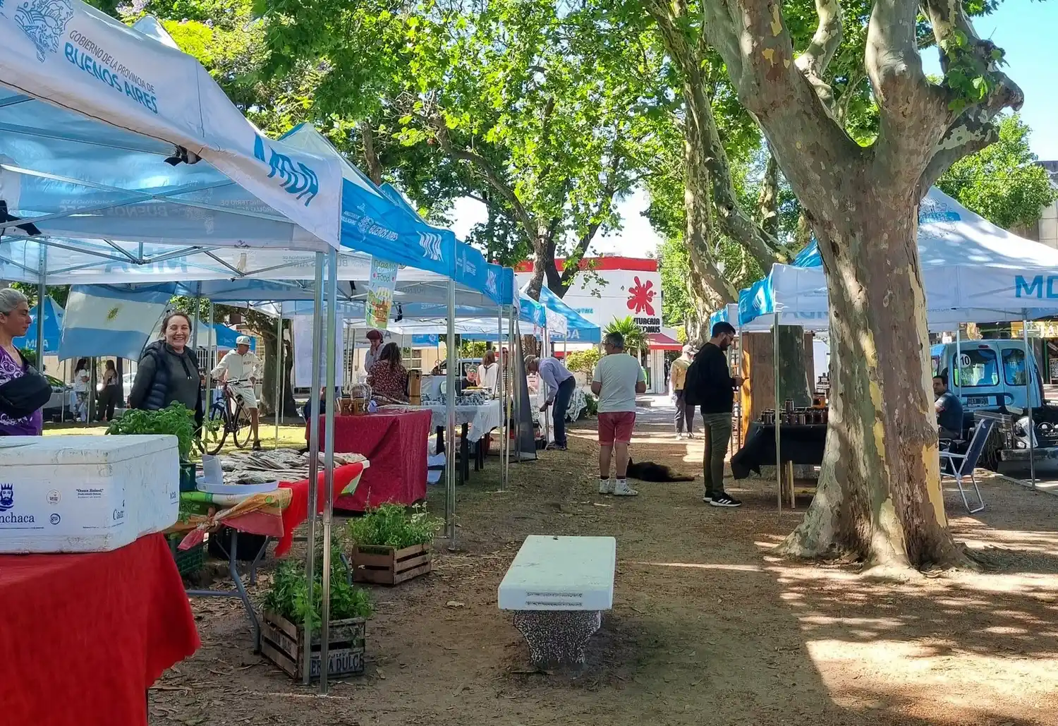 La plazoleta Newton será el escenario de una nueva edición de Mercados Bonaerenses