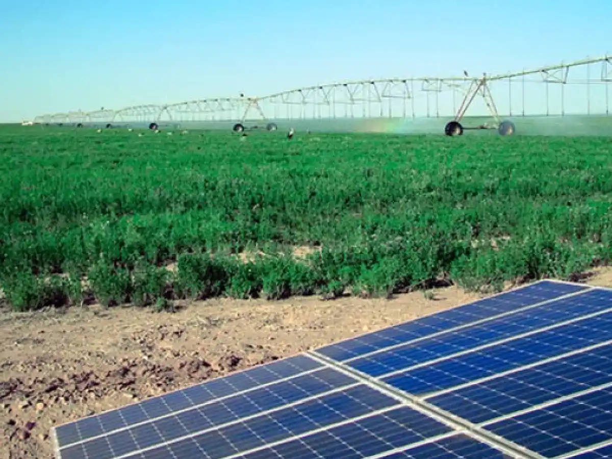 Riego solar: energía a costo cero los 365 días del año         