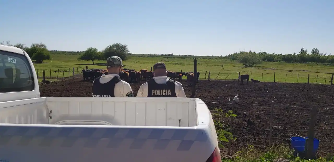 Inseguridad en zona rural: “Nuevamente aparecieron los ladrones, se están robando todo lo que pueden”