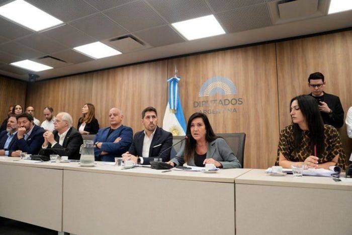 Laura Rodríguez Machado volvió a quedar al mando de Legislación Penal. Crédito: HCDN.