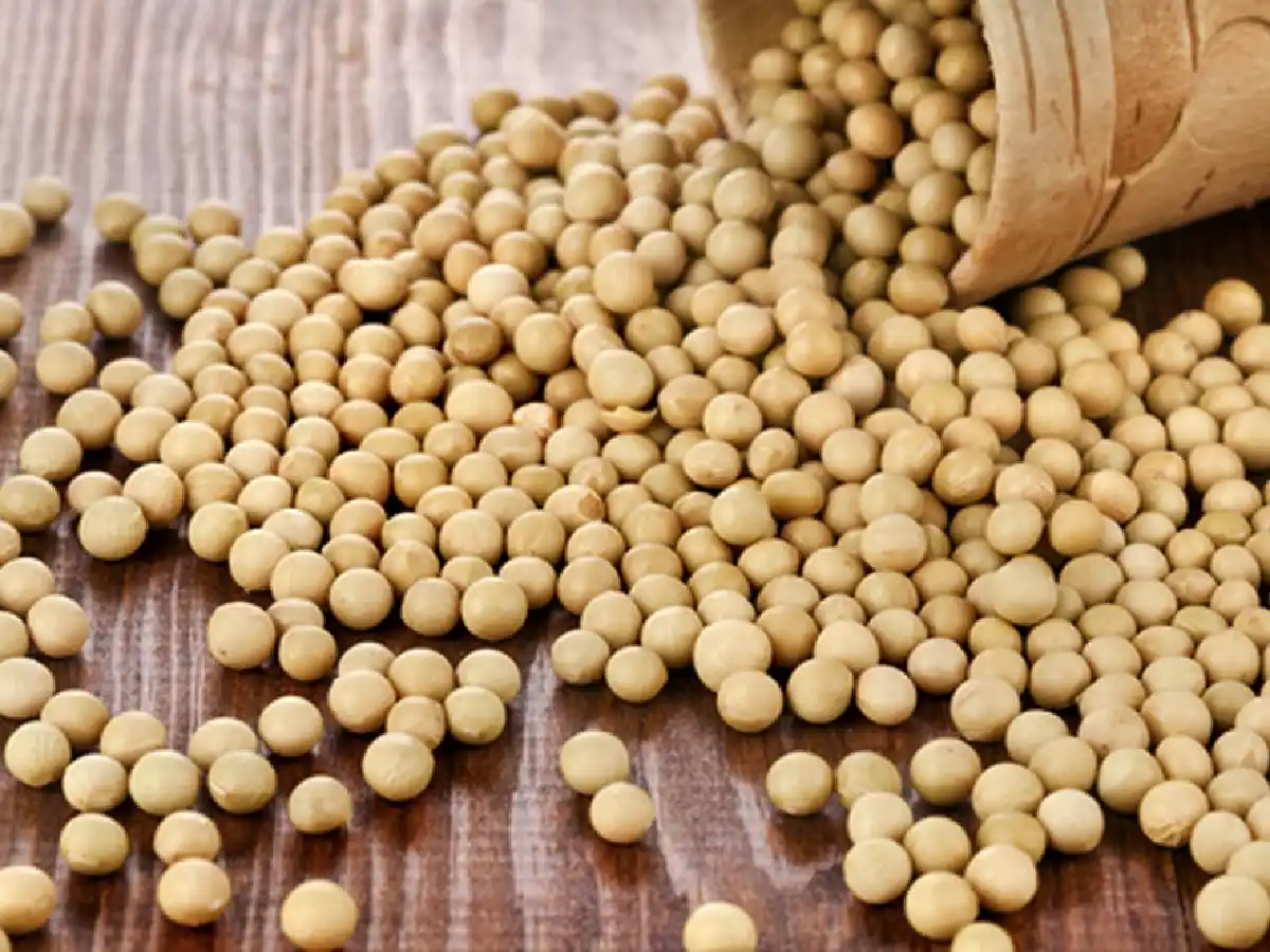 Proyectan lento crecimiento de la demanda mundial de cereales y oleaginosas en diez años       
