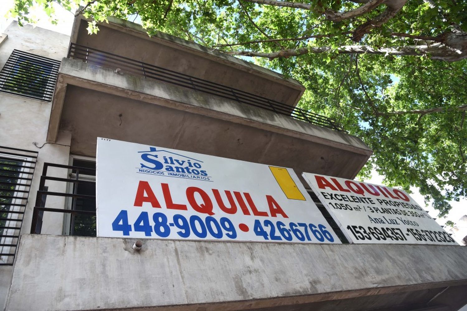 Malestar en las inmobiliarias por el congelamiento de alquileres