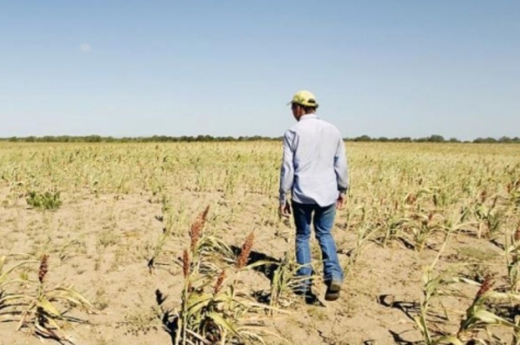 Nación homologó la Emergencia Agropecuaria para Santa Fe