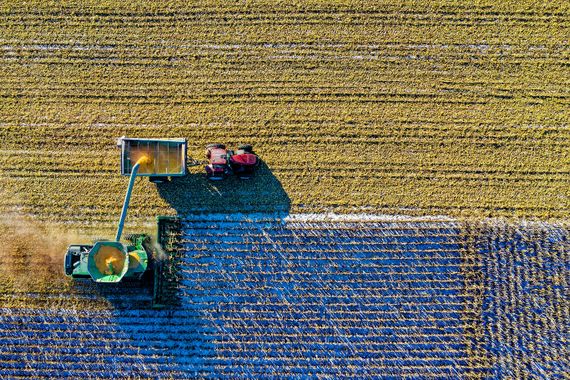 Crean una app para contribuir al desarrollo de las Agtech Locales