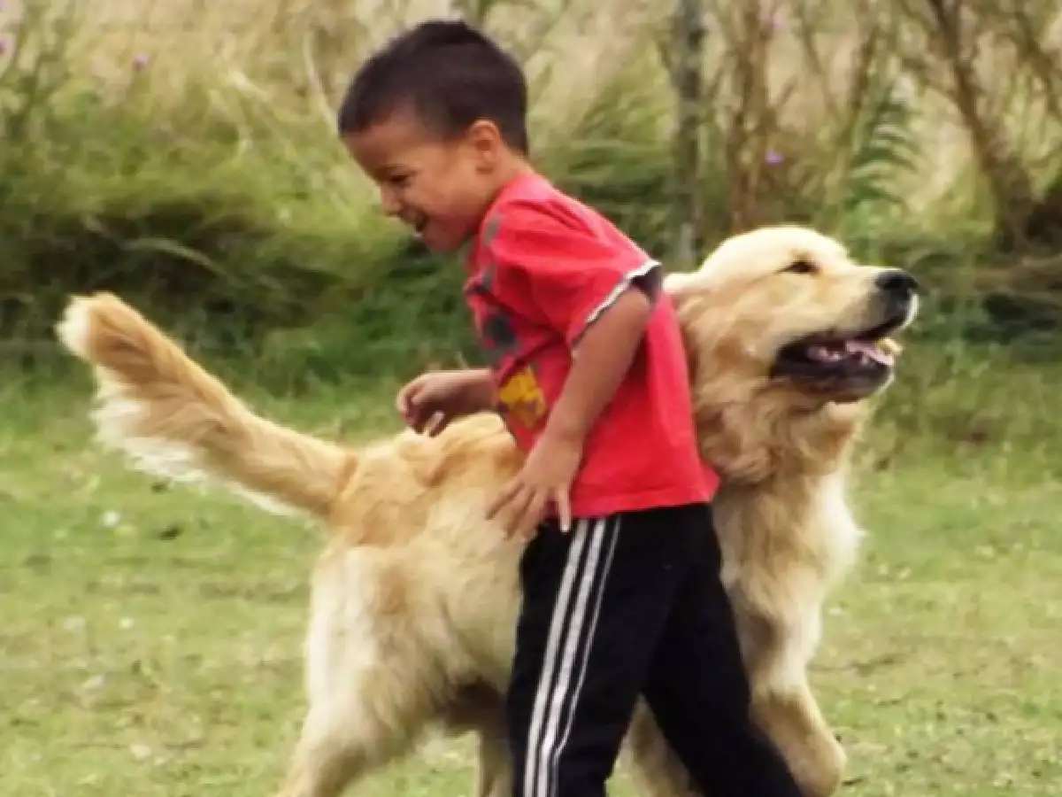 Le robaron el perro y ofrece su auto para recuperarlo