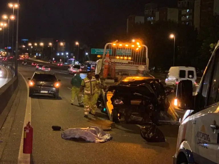 Una mujer murió tras un choque fatal en Panamericana