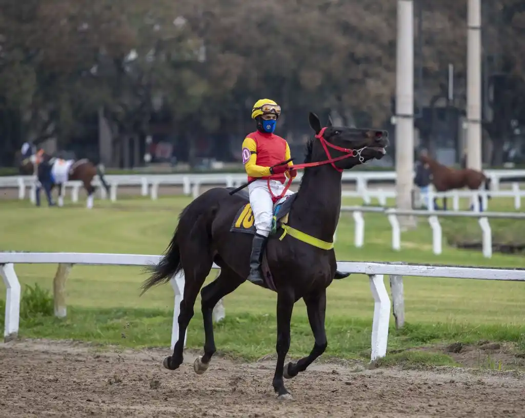 La llama del turf como señal de recuperación