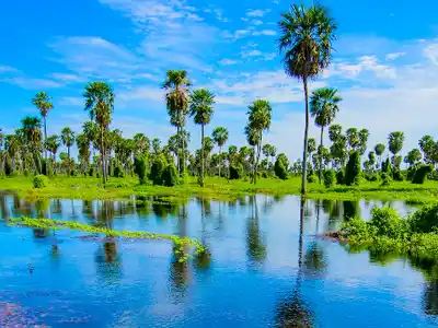 Bañado La Estrella: el segundo humedal más grande del país que atrae a cientos de turistas