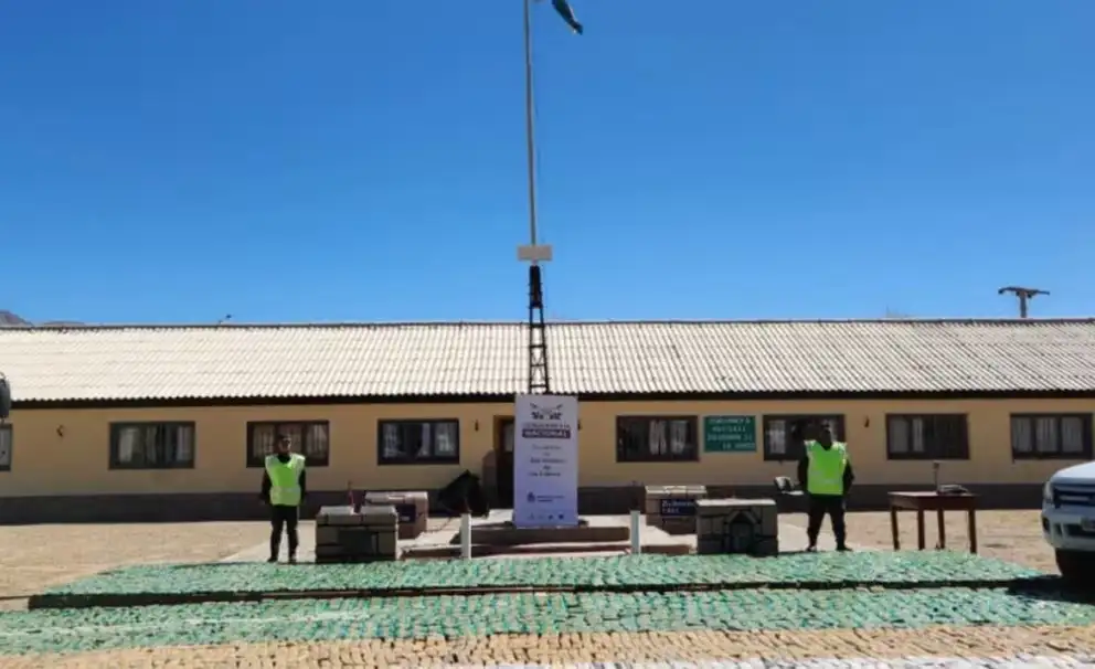 Gendarmería secuestró en Salta más de una tonelada de hojas de coca