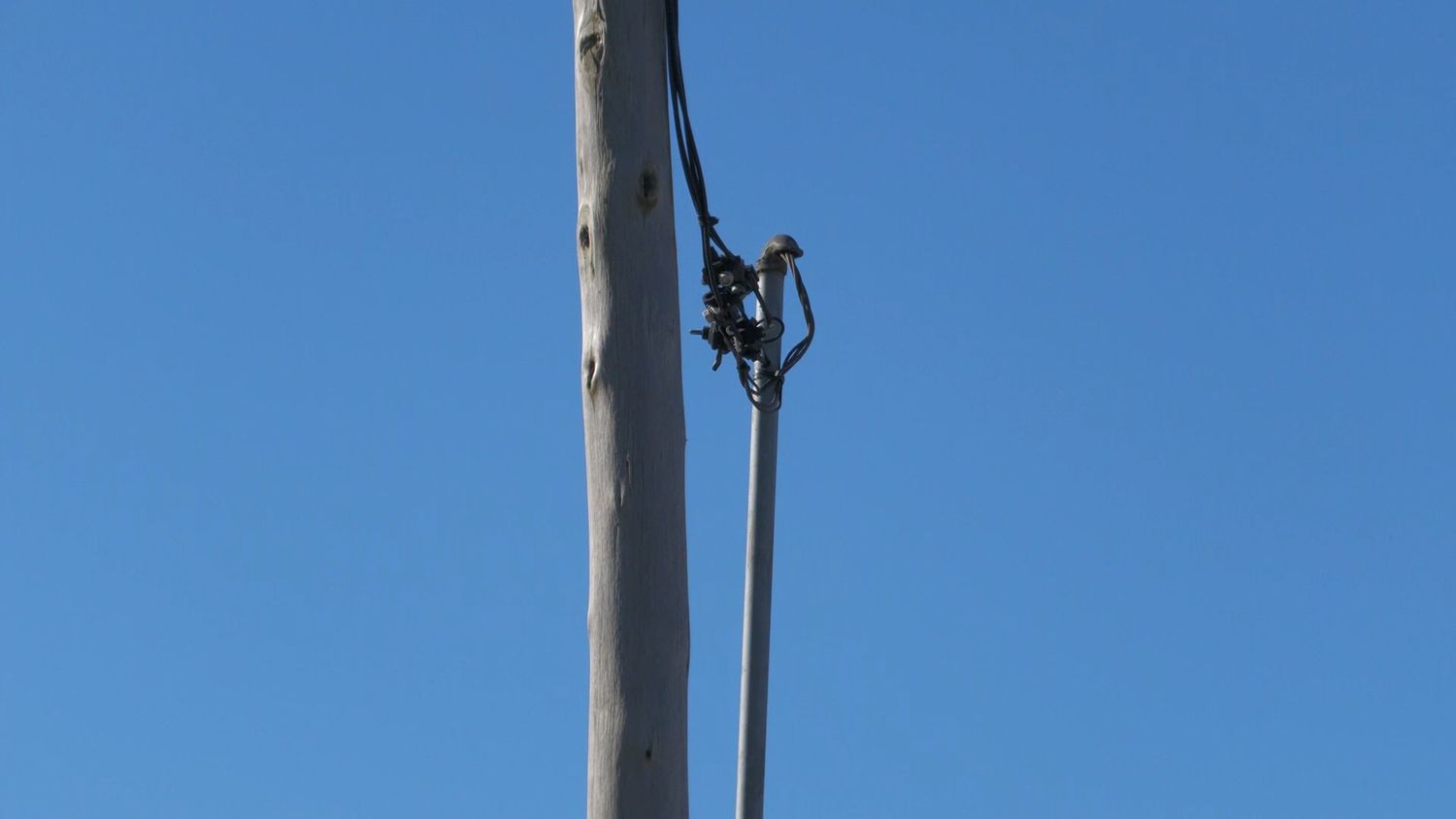“Bastante pérdida, más de lo que valen los cables que se robaron”