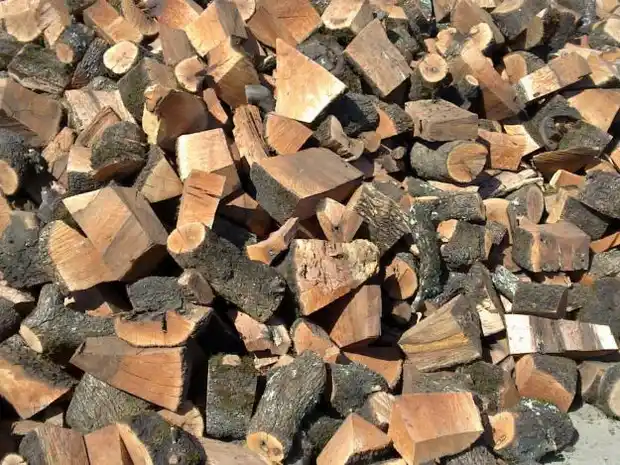 Decomisan en Gualeguay leña de una especie protegida  