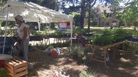 Se inauguró la Expo Jardín 2021 y el predio de Sans Souci recibirá visitantes durante todo el fin de semana