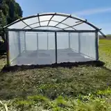 La Escuela N.º 5 "José González Grey" impulsa un proyecto de huerta orgánica con fines pedagógicos y comunitarios