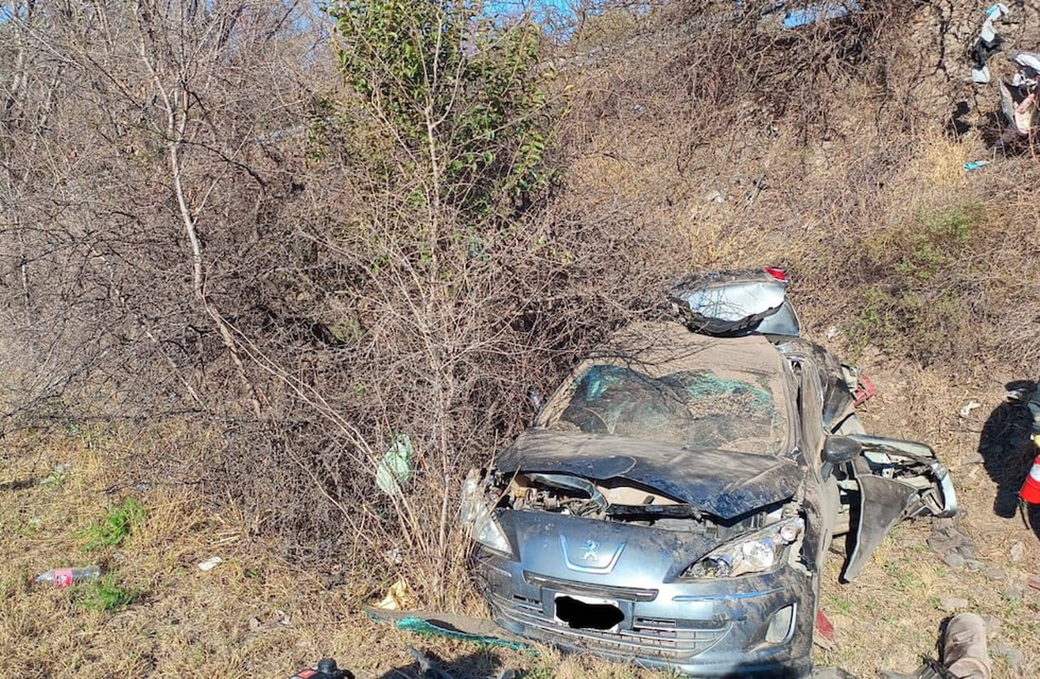 La mujer perdió el control del volante y el Peugeot dio varios tumbos a la vera de la autopista Justiano Allende Posse