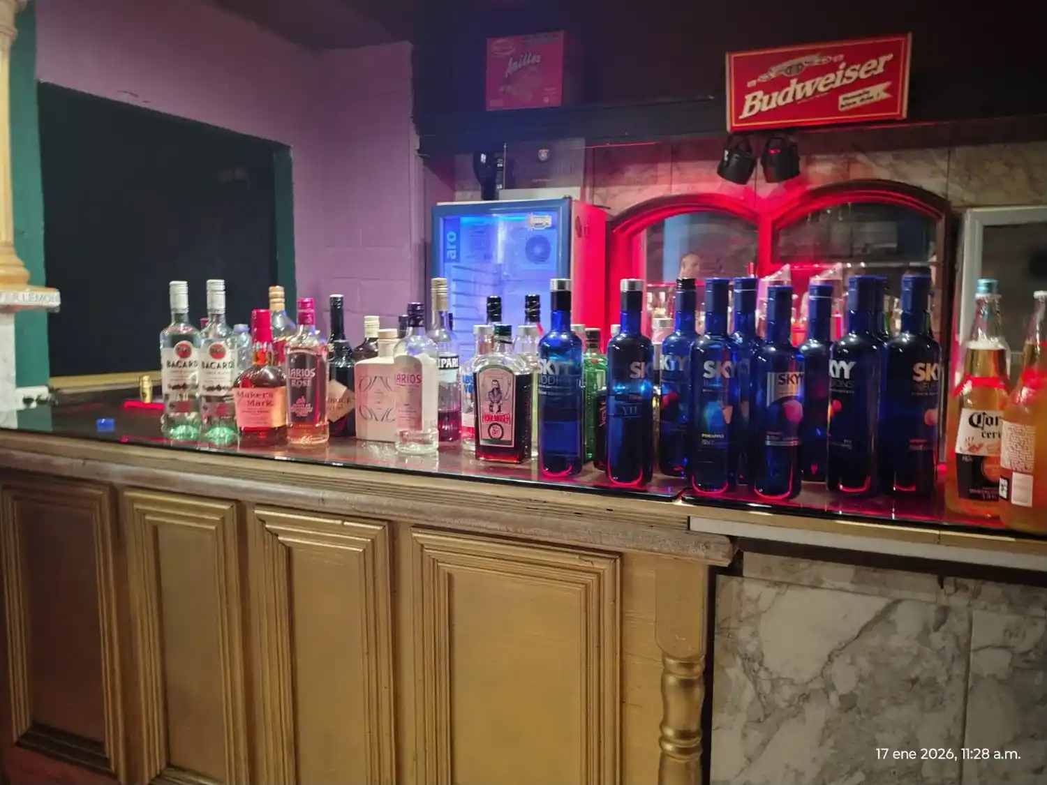 Clausuraron un local nocturno en Mar del Plata: secuestraron alcohol, un arma blanca y cocaína