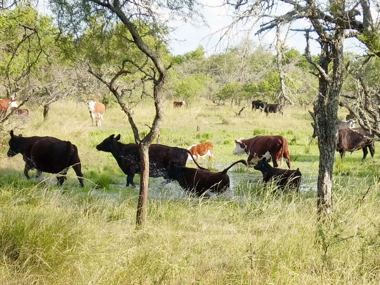 Feliciano será sede del segundo encuentro para el plan de Respuesta al Cambio Climático